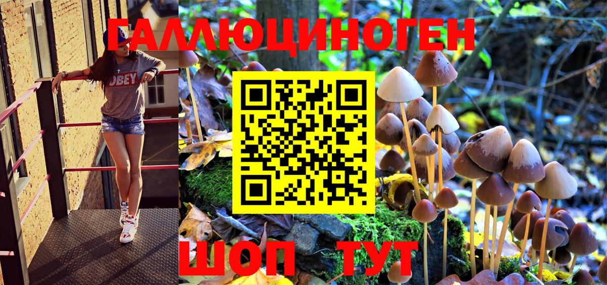 Галлюциногенные грибы Magic Shrooms  Псилоцибиновые грибы Cubensis  Вход с VPN  Алексин 