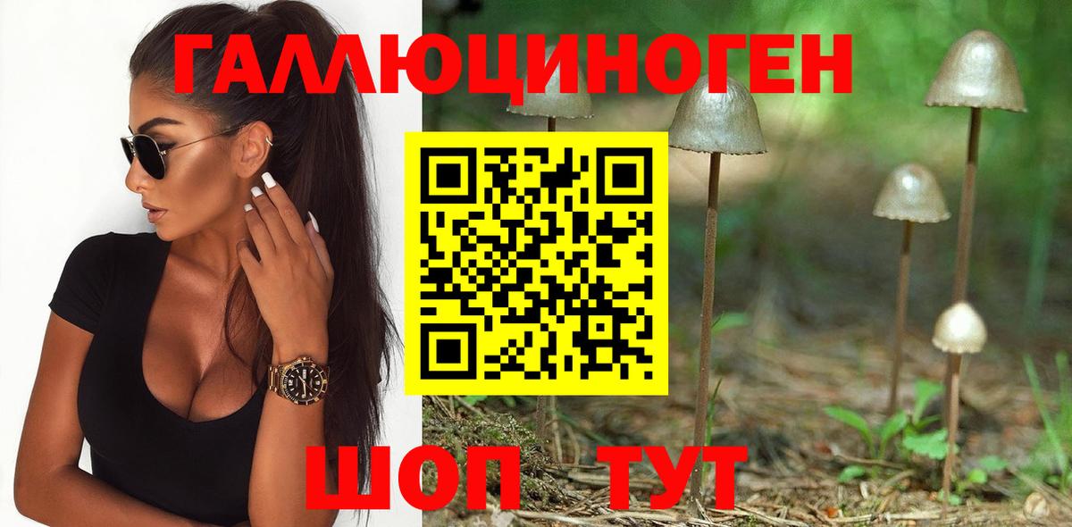 Галлюциногенные грибы Psilocybine cubensis Алексин